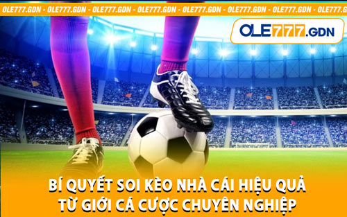Bí Quyết Soi Kèo Nhà Cái Hiệu Quả Từ Giới Cá Cược Chuyên Nghiệp