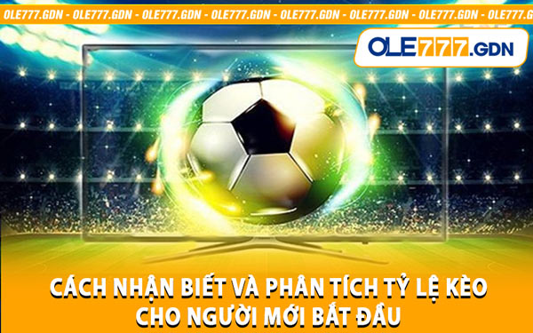 Cách Nhận Biết Và Phân Tích Tỷ Lệ Kèo Cho Người Mới Bắt Đầu