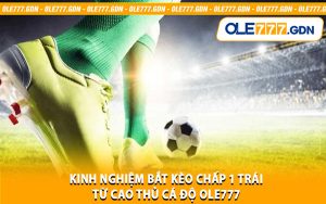 Kinh Nghiệm Bắt Kèo Chấp 1 Trái Từ Cao Thủ Cá Độ Ole777