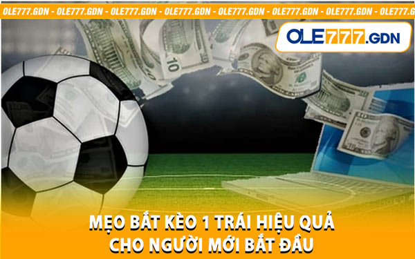 Mẹo Bắt Kèo 1 Trái Hiệu Quả Cho Người Mới Bắt Đầu