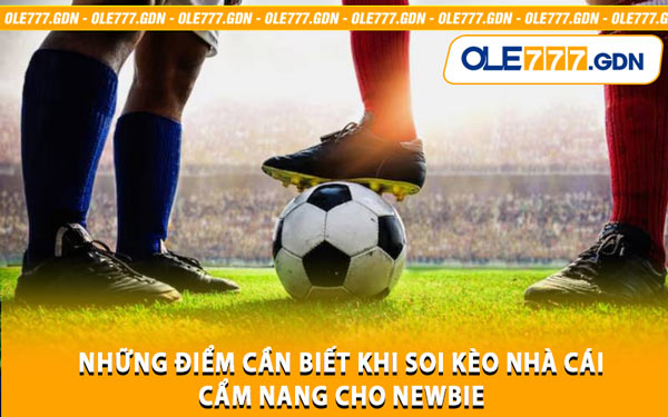 Những Điểm Cần Biết Khi Soi Kèo Nhà Cái – Cẩm Nang Cho Newbie